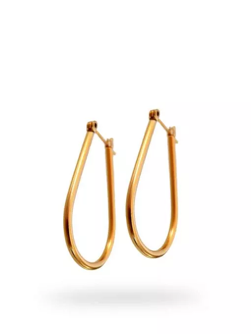 Classic hoop earrings